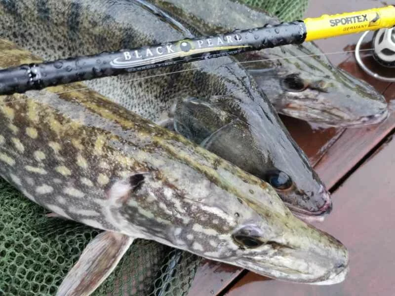 SPORTEX přívlačový prut Black Pearl GT-3 2-díl