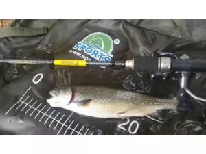 SPORTEX přívlačový prut Black Pearl GT-3 2-díl