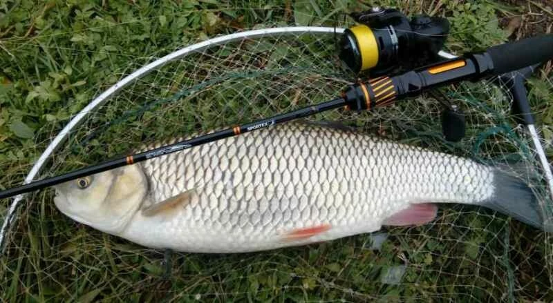 SPORTEX přívlačový prut Black Arrow G2