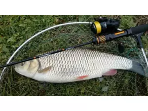 SPORTEX přívlačový prut Black Arrow G2