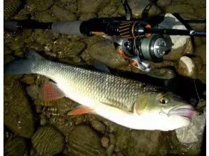 SPORTEX přívlačový prut Black Arrow G2 ULR