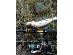 SPORTEX přívlačový prut Black Arrow G2 ULR