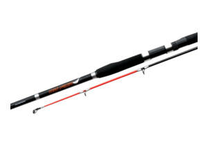 Flagman Big Fish Rod 2,4 m 100 - 250 g (FBF240)