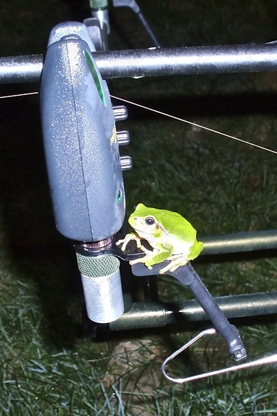 FLAJZAR SET 3+1, Fishtron Q9T-X + Q-RX2