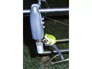 FLAJZAR SET 3+1, Fishtron Q9T-X + Q-RX2