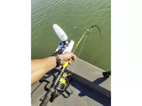 BLACK CAT prut Perfect Passion Allstar 2,10m 200g AKCE