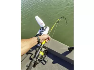 BLACK CAT prut Perfect Passion Allstar 2,10m 200g AKCE