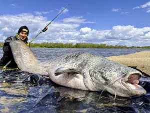 BLACK CAT prut Perfect Passion Allstar 2,10m 200g AKCE