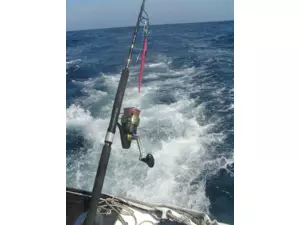 PENN TRQ Popping Spin 902 2,7m 80/160g -73% VÝPRODEJ!!