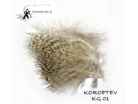 TOMMI FLY KOROPTEV - GRIZZLY