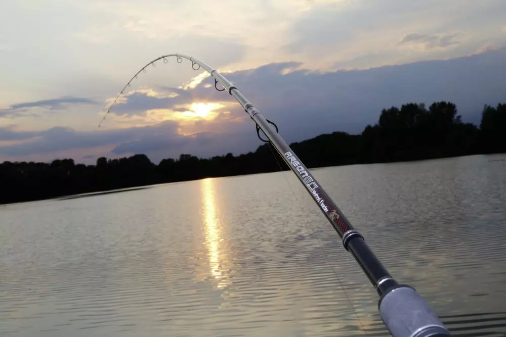 BROWNING ARGON 2.0 FEEDER M 20-75g