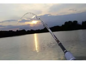 BROWNING ARGON 2.0 FEEDER M 20-75g