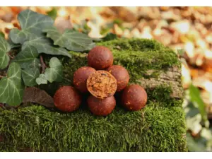 MIVARDI Rapid Boilies Platinum ProActive B17
