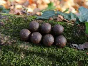 MIVARDI Rapid Boilies Platinum ProActive Crazy Liver