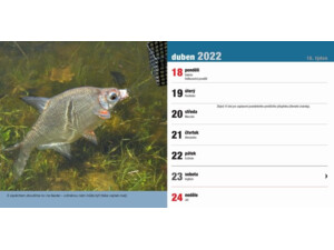 Stolní rybářský kalendář na rok 2022