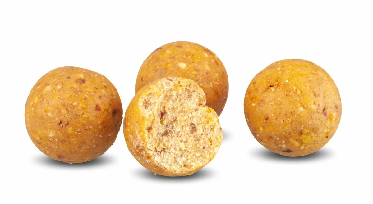 SAENGER Anaconda Boilie Magist Tiger Nut 16 mm/1 kg