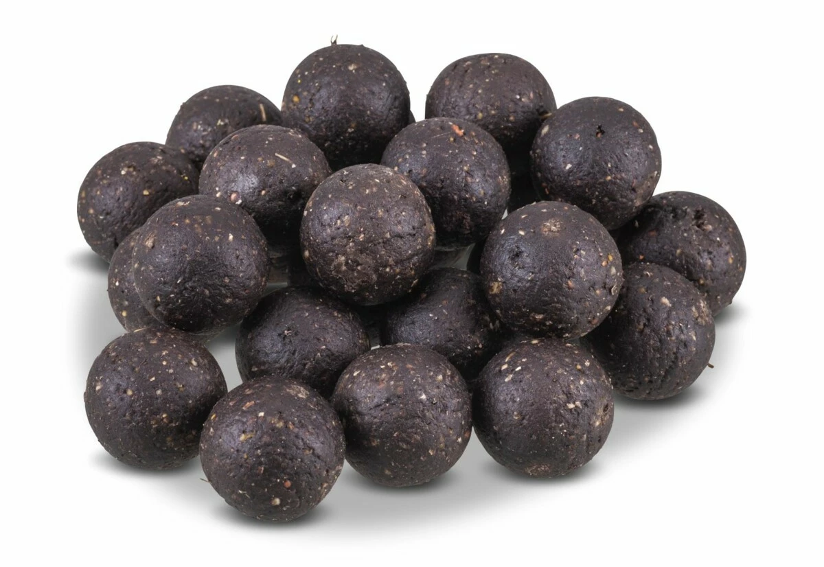 SAENGER Anaconda Boilie Magist Nightcrawler 24 mm/1 kg