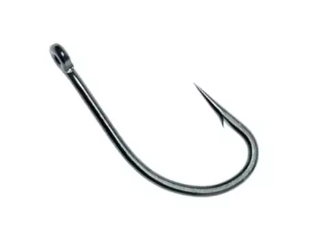 CARP SYSTEM B