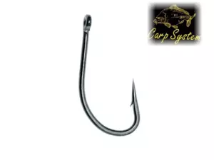 Carp System B