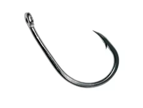 CARP SYSTEM D