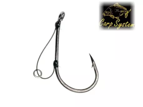 Carp System FR