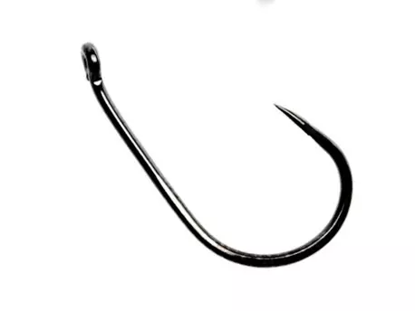 CARP SYSTEM I