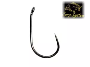 Carp System I