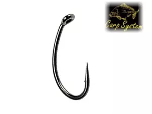 Carp System J