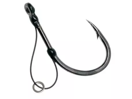CARP SYSTEM ER