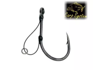 Carp System ER