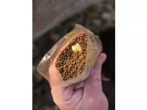 Giants fishing PVA sáčky Bags 25ks (mega pack)