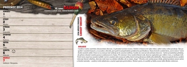 KAJMAN Rybářský kalendář 2014