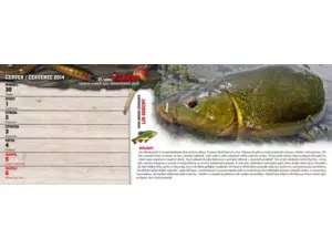 KAJMAN Rybářský kalendář 2014