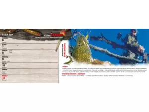 KAJMAN Rybářský kalendář 2014