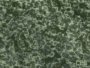 Ledvinka Delphin Townz SPACE C2G