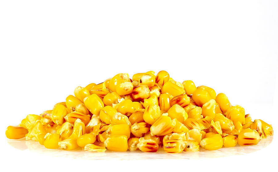 Sportcarp nakládaná kukuřice Sweet Corn
