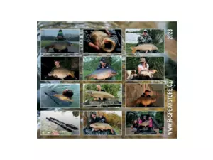 R-SPEKT Nástěnný kalendář 2023