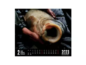 R-SPEKT Nástěnný kalendář 2023