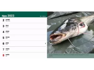 Stolní rybářský kalendář na rok 2023