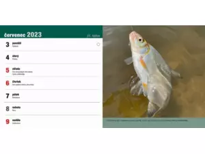 Stolní rybářský kalendář na rok 2023