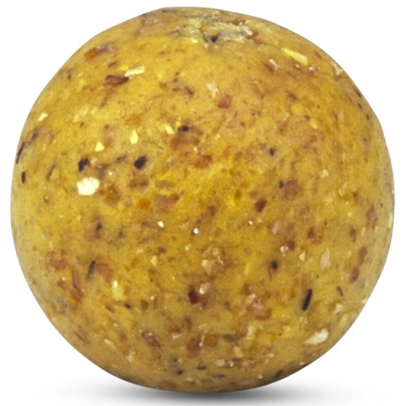 SAENGER Anaconda Boilie Magist Spicy Shrimp Belachan 20mm/1kg