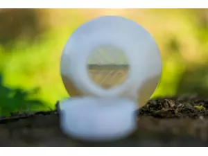 LK Baits Corn Honey Concentrate 250 ml  VÝPRODEJ