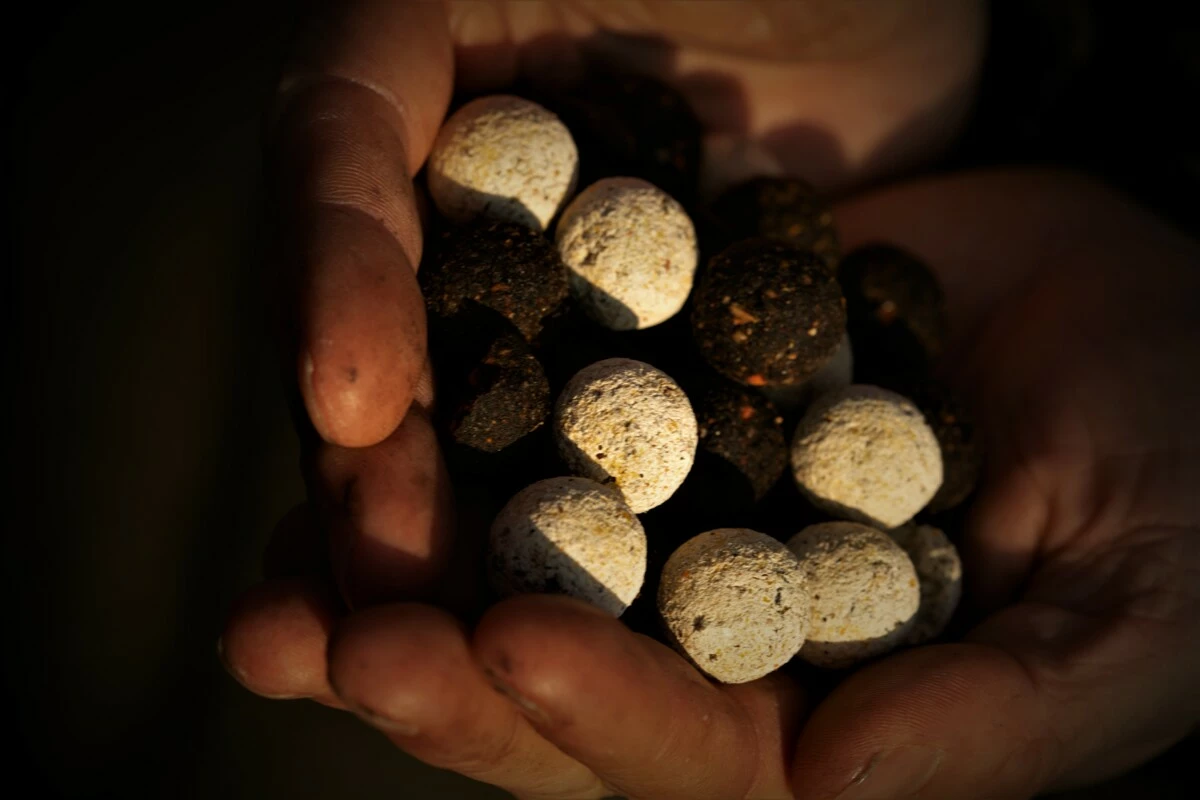 LK Baits Top ReStart Boilies Peperin