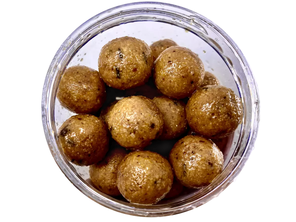 LK Baits Fresh Boilie Restart Mussel