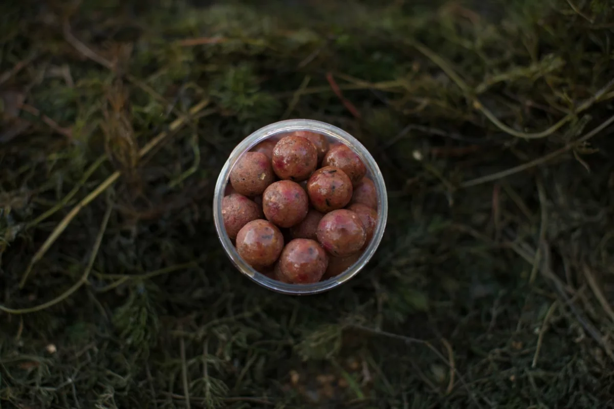 LK Baits Fresh Boilie Restart Mussel