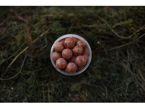 LK Baits Fresh Boilie Restart Mussel