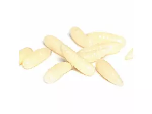 Lucky John červi Pro Maggots (fosforeskující)