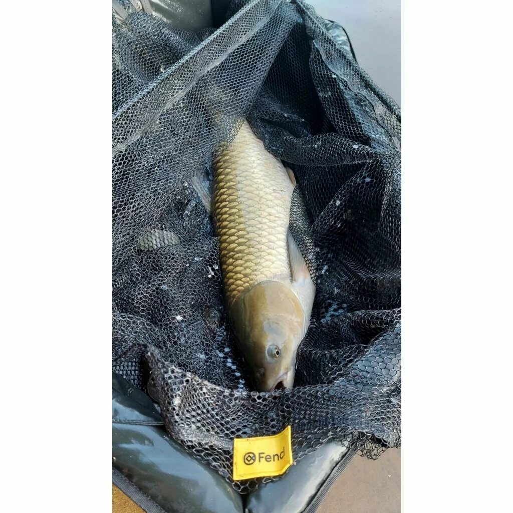 Fencl kaprový podběrák CARP 80 / 2díl s pogumovanou sítí