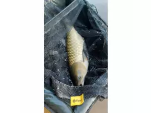 Fencl kaprový podběrák CARP 80 / 2díl s pogumovanou sítí