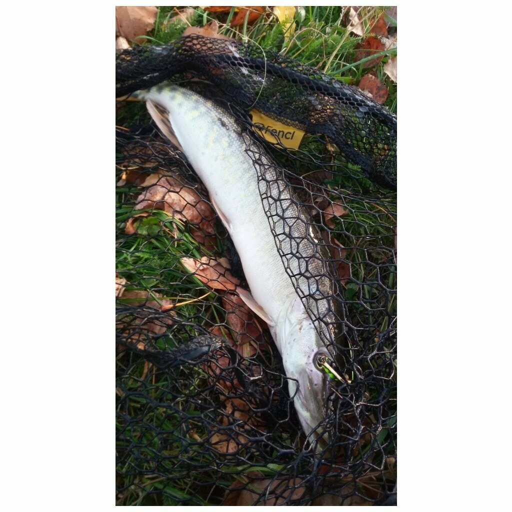 Fencl přívlačový podběrák PREDATOR SPECIÁL s pogumovanou sítí